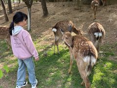 -观唐（国际）度假村温泉