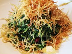 巧拌豆苗-四季民福烤鸭店(王府井灯市口店)