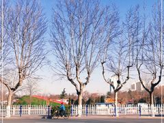 -莱西月湖公园
