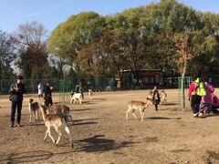-北京麋鹿生态实验中心