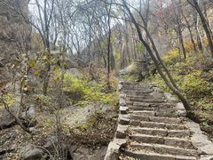 -大岭沟猕猴桃谷风景区