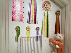 -爱宠屋pet shop·宠物洗澡·宠物美容