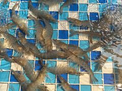 -养牛邓·潮汕牛肉海鲜自助火锅(广州店)
