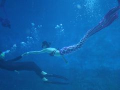 -烟台海昌鲸鲨海洋公园