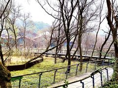 -西湖风景区-江洋畈生态公园