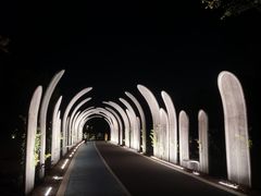 -渤公岛生态公园