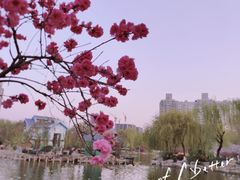 -郑州市动物园