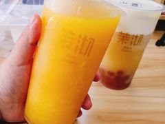 多肉芒果-茉沏(光启城店)