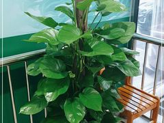 -厦门市少年儿童图书馆(中山公园馆)