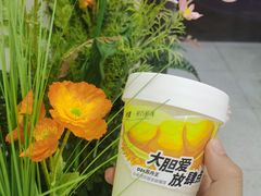 -树夏(建设路店)