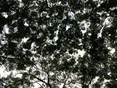 -三亚太阳湾柏悦酒店