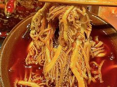 -水巷子·巴掌腰片重庆火锅(巧家店)