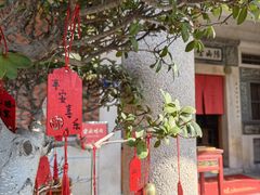 -晋江五店市传统文化旅游区