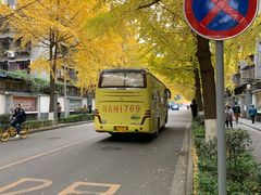 -四川大学(望江校区)