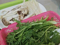 -15年老字号鑫鑫猪肚鸡·椰子鸡海南火锅(兴隆华侨农场店)