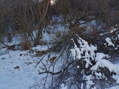 -鳌山滑雪度假区