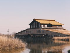 -宁波杭州湾国家湿地公园