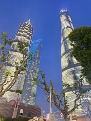 -巍阁高端月子会所