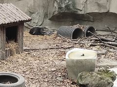 -成都动物园