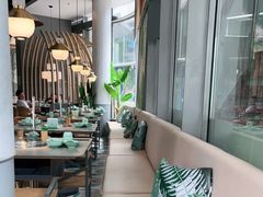 -原味四季椰子鸡(平湖天虹店)