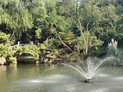 -上海醉白池公园