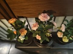 -三利音·玖弄小鲜(浦东嘉里城店)