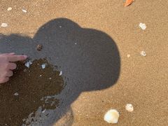 -北戴河东海水浴场