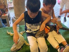 -清迈夜间动物园