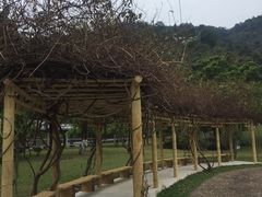 -黄龙带水库