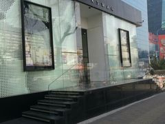 -BLACKSWAN黑天鹅(环球店)