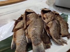 -雅和生态渔庄·宜城锅巴饭(龙灵山公园店)