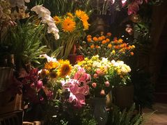 -春暖花开(西溪店)