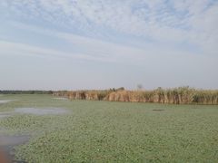 -宁波杭州湾国家湿地公园