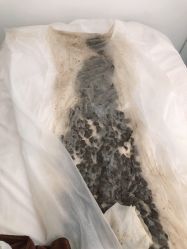 -姜美堂·蒸姜除湿の纤体美颜馆