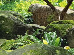 -荔枝公园(福田区)