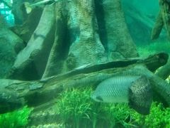 -福州罗源湾海洋世界旅游区