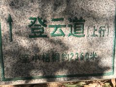 -梧桐山风景名胜区