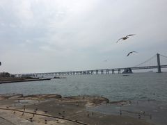 -星海湾跨海大桥