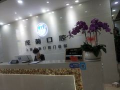 -茂菊口腔连锁(浦东南路店)
