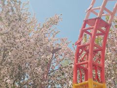 -石家庄市植物园