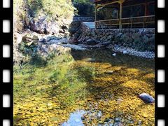 景点-安吉龙王山风景区