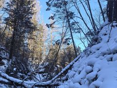 -峡谷浮石林景区