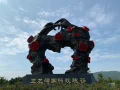 -亚龙湾国际玫瑰谷