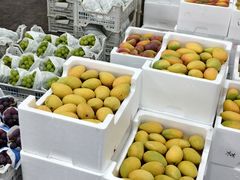 -西郊国际农产品交易中心