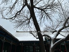 -张学良旧居陈列馆