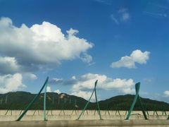 -红山村