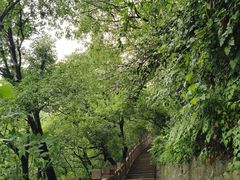 -杭州半山国家森林公园