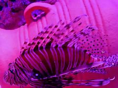 -沈阳海洋探索中心