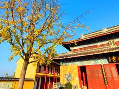 -海宁市观音寺
