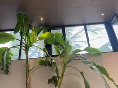 -单家老院·院子里的青岛菜(沙子口店)